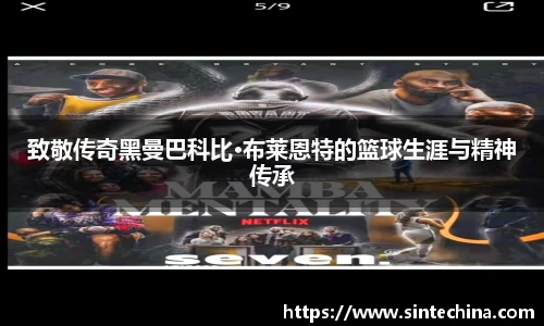 星空体育网站入口