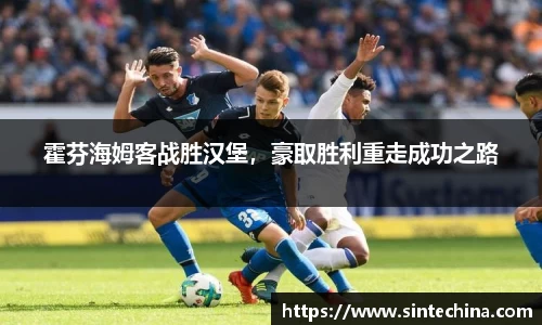 霍芬海姆客战胜汉堡，豪取胜利重走成功之路