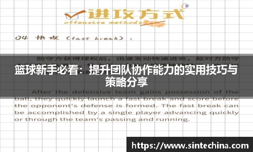 篮球新手必看：提升团队协作能力的实用技巧与策略分享