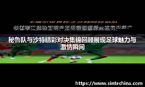 星空体育(中国)官方网站