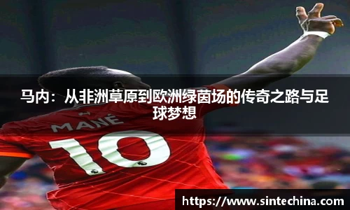 星空体育(中国)官方网站